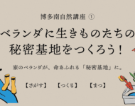 2/15(日) ベランダに生きものたちの「秘密基地」をつくろう！博多南自然講座①