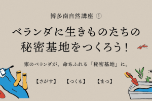 2/15(日) ベランダに生きものたちの「秘密基地」をつくろう！博多南自然講座①